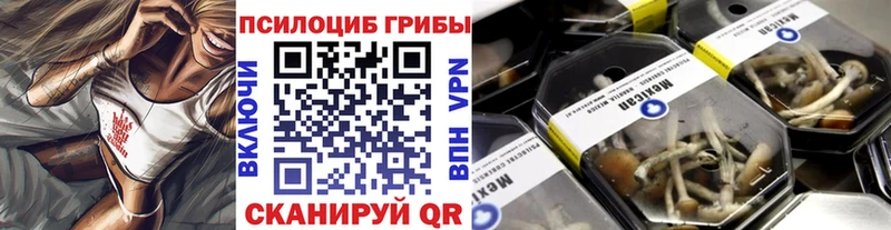 Галлюциногенные грибы Psilocybine cubensis  shop Telegram  Тында 