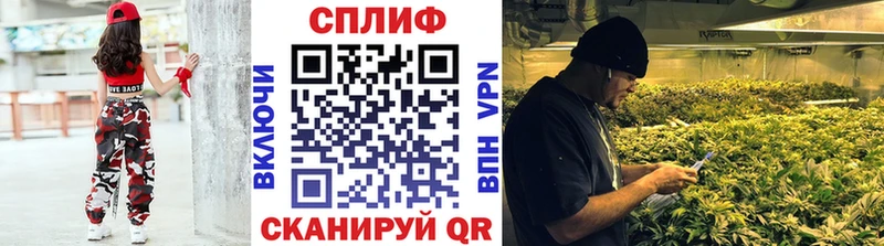 Каннабис конопля  Тында 